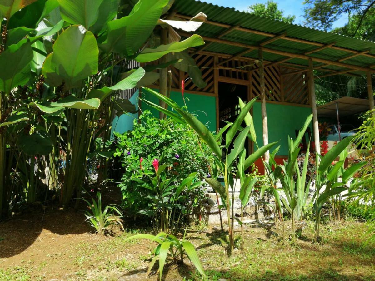 Garden Of Heliconias Lodge Drake Bay Exterior photo