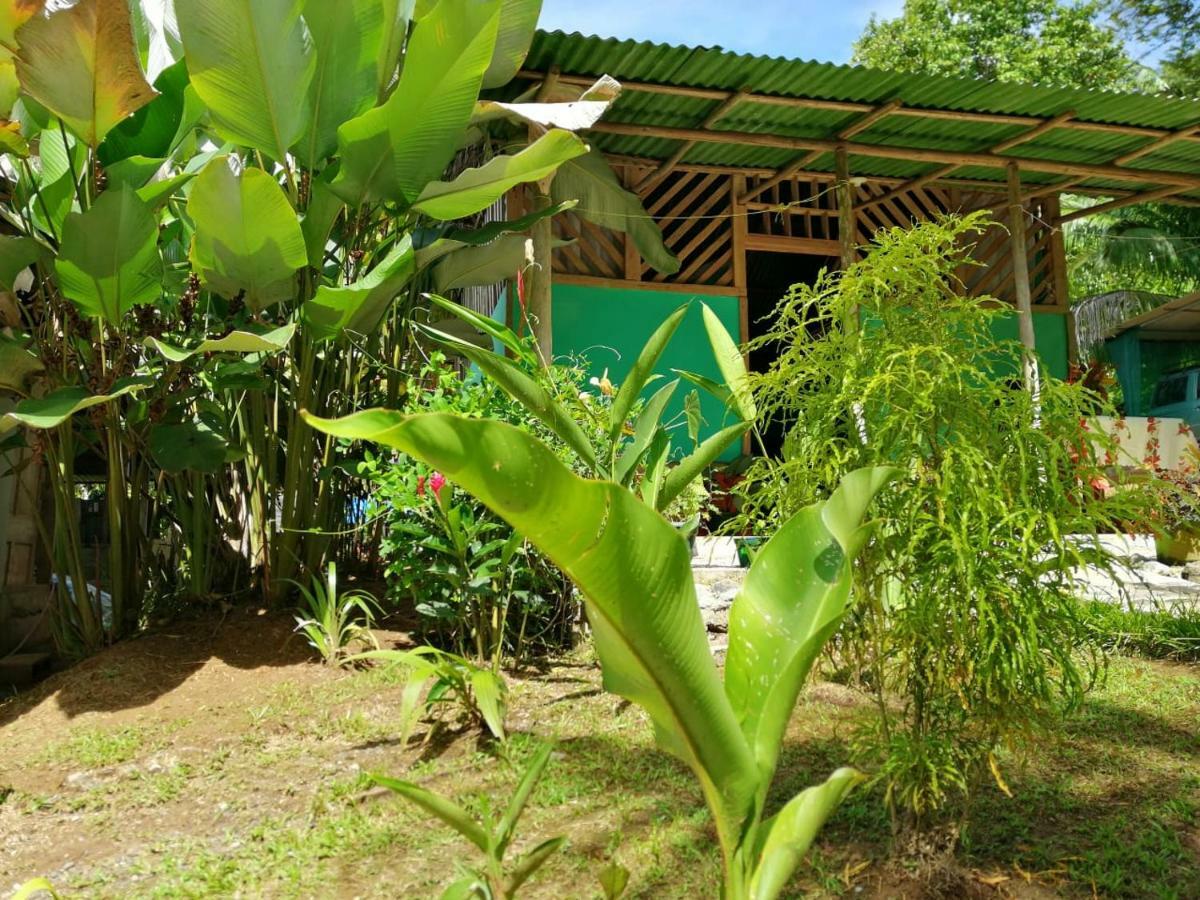 Garden Of Heliconias Lodge Drake Bay Exterior photo